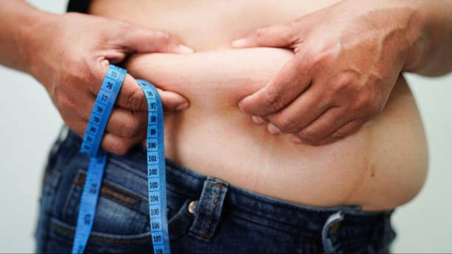 Descubren Cómo Quemar Calorías Con Células De La Grasa Blanca