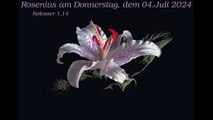 Rosenius am Donnerstag, dem 04. Juli 2024 zu Kolosser 1,14