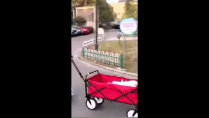 Short 6"Epic Fails Compilation - Try Not to Laugh Challenge! "