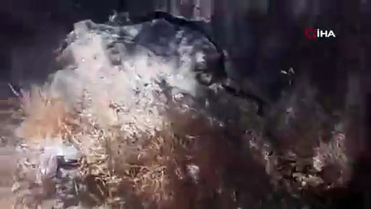 Siirt'te 1,5 metre uzunluğunda yılan görenleri korkuttu