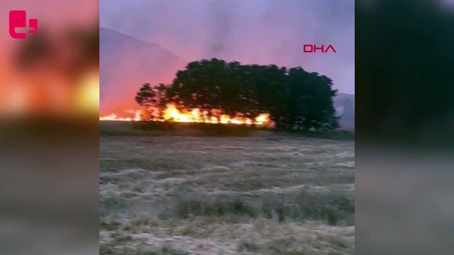 Buğday ve arpa ekili 100 dönüm tarla yandı