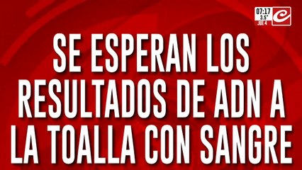 Caso Loan: se esperan los resultados de ADN de la toalla con sangre