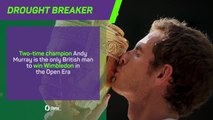 Andy Murray at Wimbledon - Career in Numbers