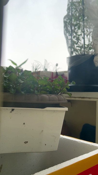 It’s raining