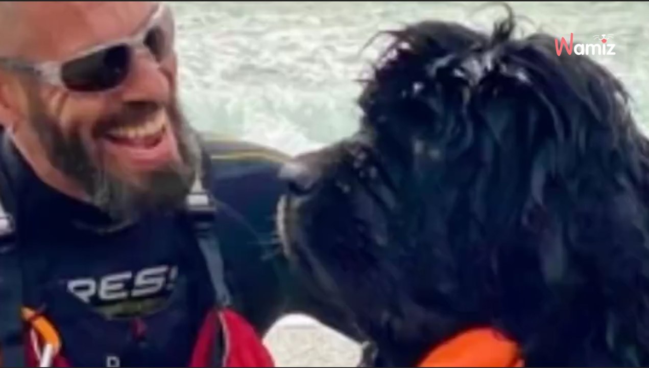 Polémica Torre del Mar: perros prohibidos en la playa, usados como salvavidas