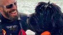 Polémica Torre del Mar: perros prohibidos en la playa, usados como salvavidas
