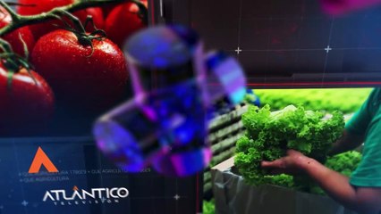 Flash + Que... Agricultura: La Innovación que Revoluciona el Sector Agrícola 🚜