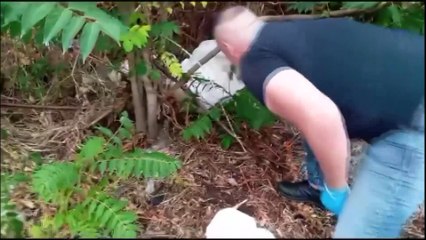 Rifiuti ospedalieri trovati anche in via Galvani