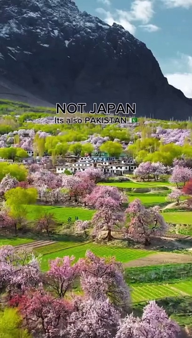 Best Travel Video