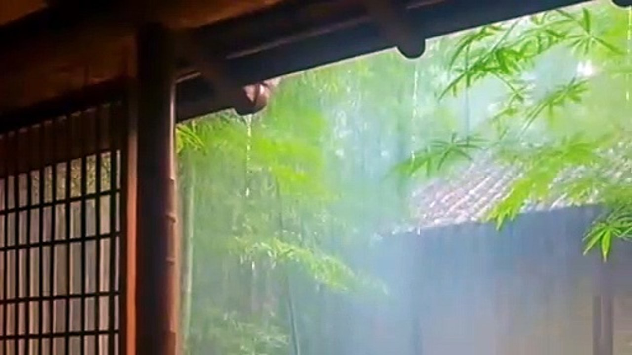 Thê Lương - Tác giả Phúc Chinh