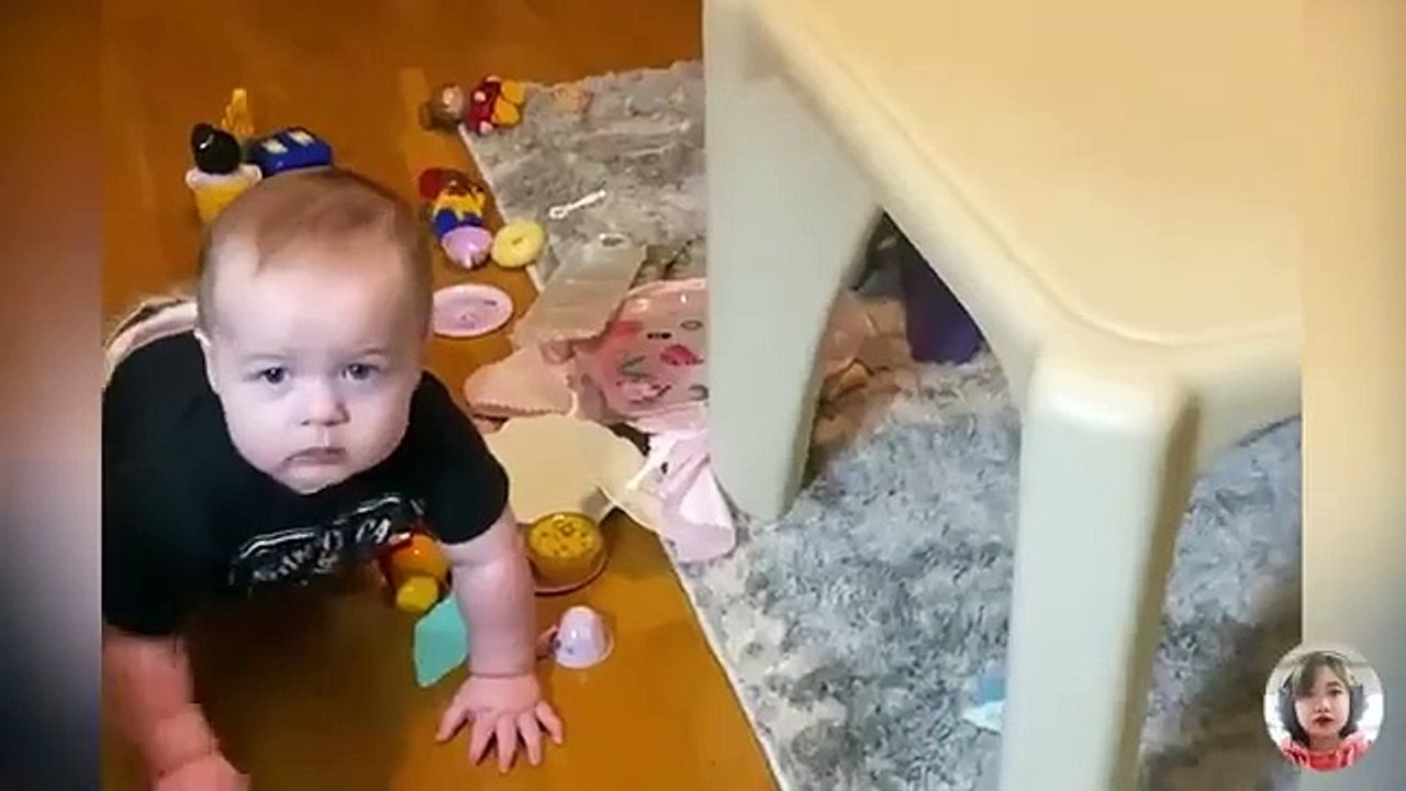 Funny_Pets