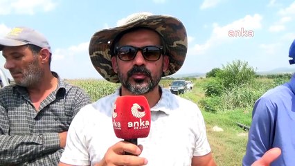 Kadirlili çiftçi ürünlerimiz yanıyor, mahsullerimiz yanıyor