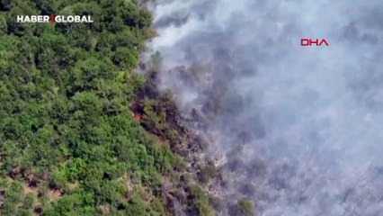 Ormana düşen yıldırım yangına sebep oldu