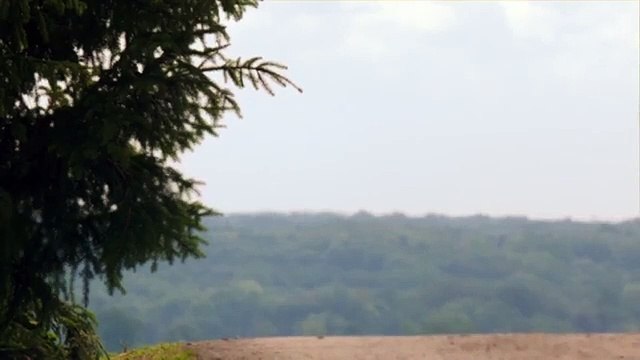 Black Storm Bande-annonce (UK)