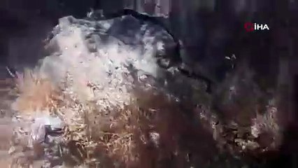 Sokak ortasında yılan paniği