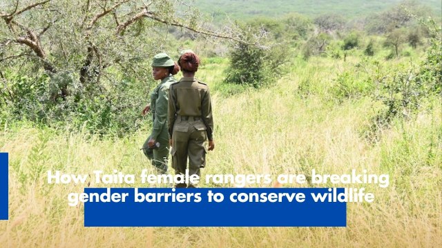 How Taita female rangers are breaking gender barriers to conserve wildlife