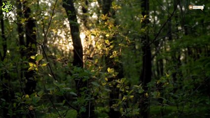 Kaun Tujhe || New version hindi song #viral #trending #song