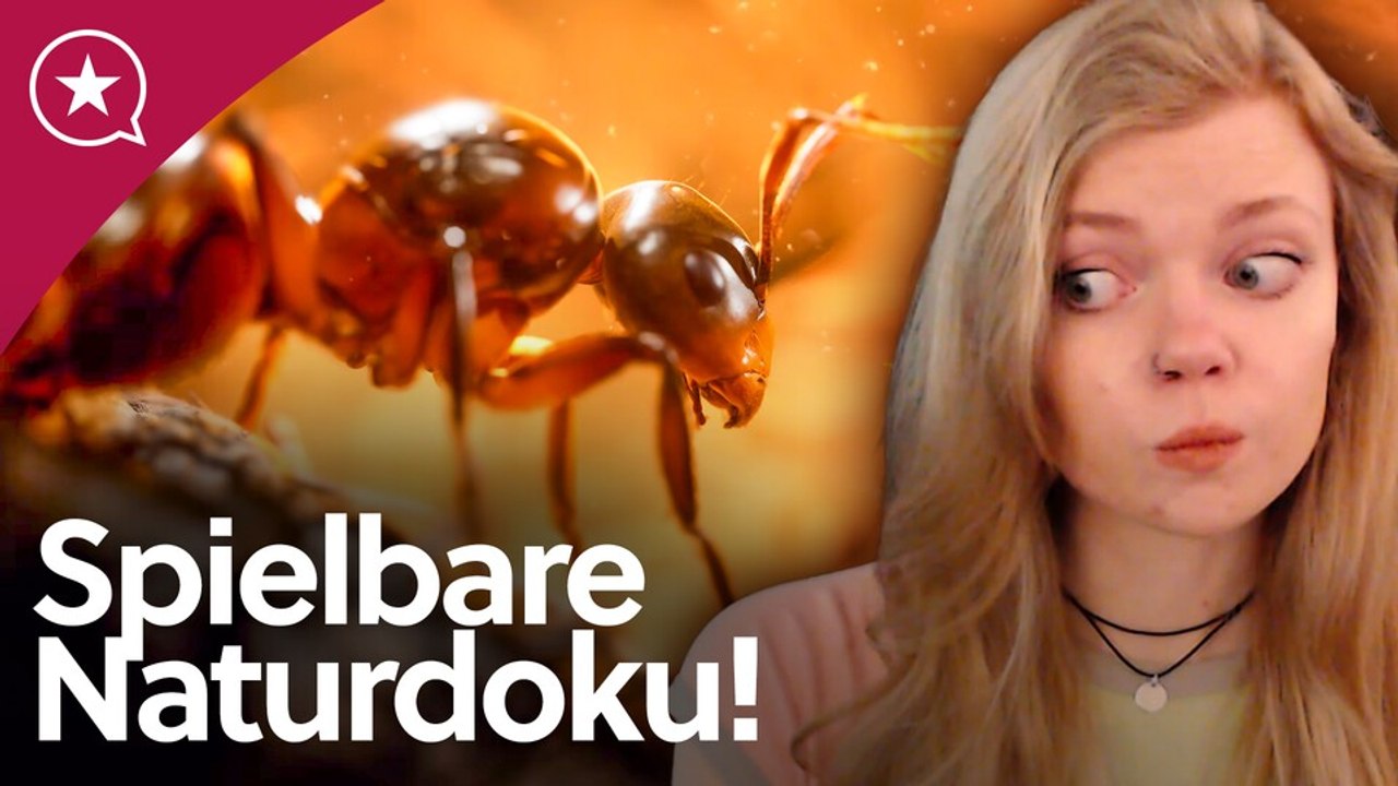 Hoffentlich wird DAS ein neuer Strategietrend! | Empires of the Undergrowth mit Moerp