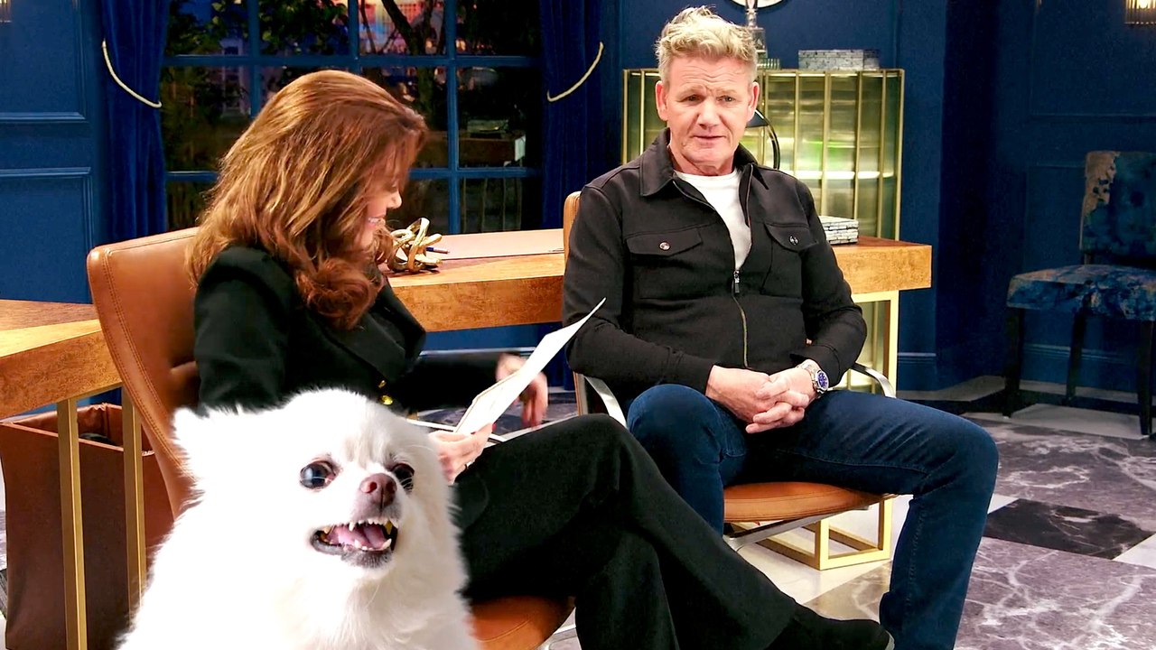 Acing the Interview on Gordon Ramsay's Food Stars