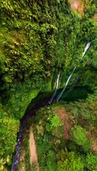 Nature video very nice