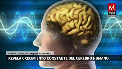 Estudio de la Universidad de California revela crecimiento constante del cerebro humano