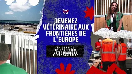 La DRAAF Hauts-de-France recrute des vétérinaires aux frontières au sein de ses services d'inspection