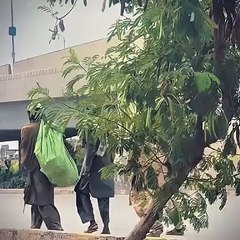 Tending video in Pakistan