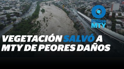 Vegetación salva al Par Vial en NL | Reporte Indigo