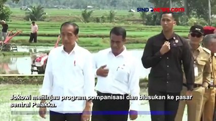 Tingkatkan Produksi Pertanian, Presiden Jokowi Tinjau Program Pompanisasi di Bone