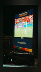 Speed reaction of Fan on ronaldo penalties