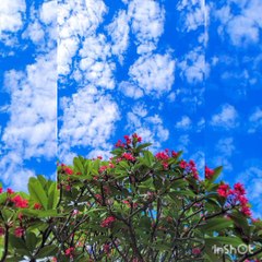 Qari muhammad saghir tilawat