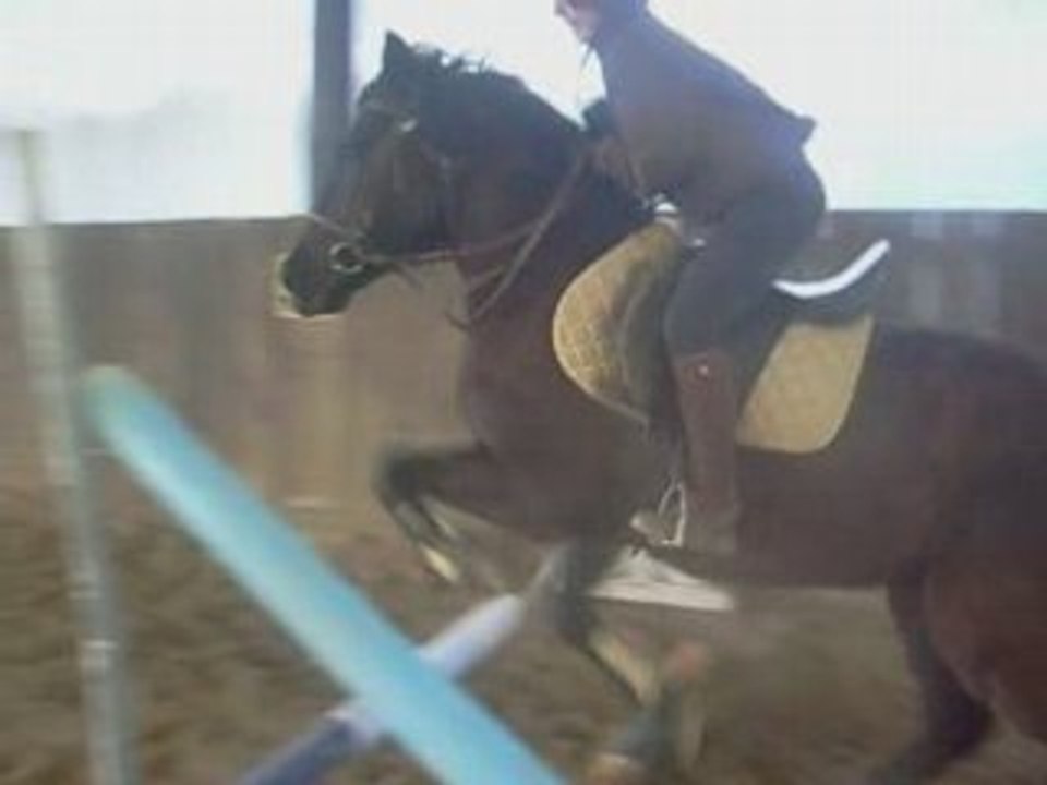 saut mélii