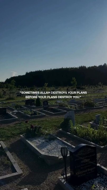 Allah's Plan
