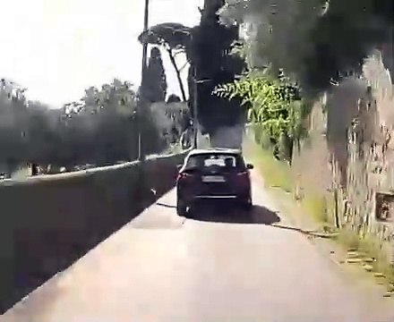 Firenze, albero crolla e sfiora un'auto in transito