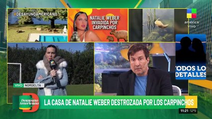 "Me arruinan todo el pasto": Natalie Weber se quejó de los carpinchos en Nordelta