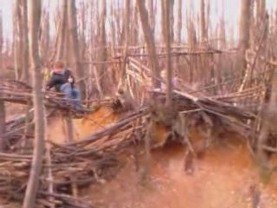 Cabane in the woods