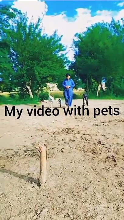 Boy with cute pets