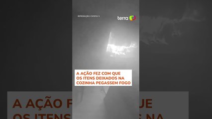 Cachorro curioso liga fogão e incendeia casa nos Estados Unidos #shorts