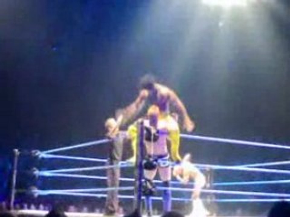 WWE Wrestlemania 2008 Revenge Tour Video 03