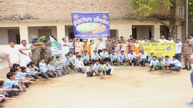 हरयाळो राजस्थान के तहत रोपे पौधे