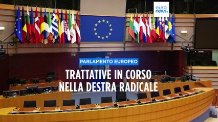 Parlamento europeo, il gruppo Identità e democrazia "stritolato" da Conservatori e Patrioti