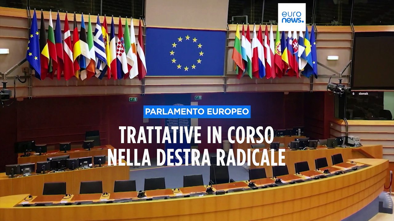 Parlamento europeo, il gruppo Identità e democrazia "stritolato" da Conservatori e Patrioti