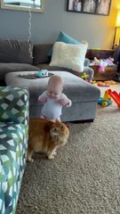 Fluffy Cat Helps Baby Take First Steps!!