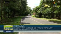 ¡Lucha por nuestro planeta! Nicaragua en iniciativa ambiental