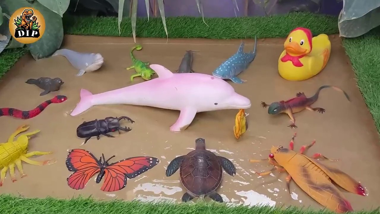Muddy Sea Animals and Insects Adventure in Sandbox Learning Fun Facts ...