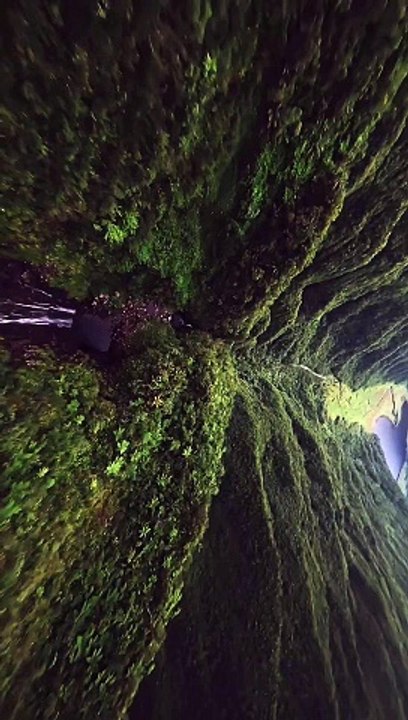 The waterfalls paradise ----__--Waterfalls and wild nature of Grand Etang _ Reunion Island _ Shot with FPV Drone _ Cinematic Reel --__._._._._._._._._._.__waterfalls _folkgreen _folkscenery _natureaddict _naturelovers _moodynaturelandscapes (