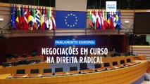 Parlamento Europeu: grupo Identidade e Democracia 