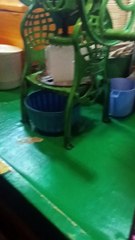 Gola Gola thanda thanda