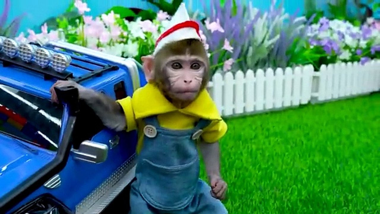 KiKi_Monkey_take_care_with_Giant_Bottle_of_Milk_an