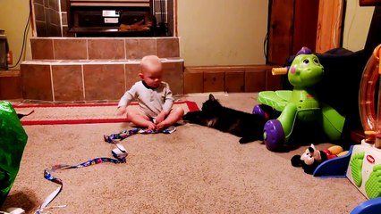Baby And Cat Fun And Cute- Funny Baby Videos